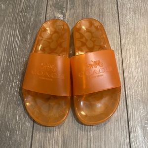 Orange Coach Slides